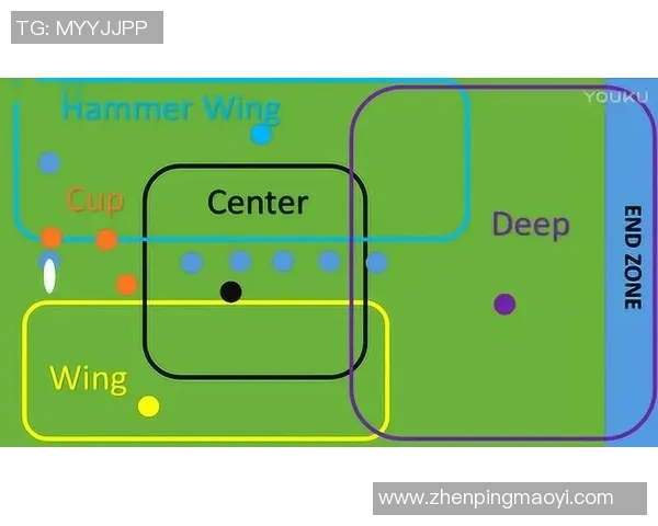 南京飞盘队的战术解析与控制体系探讨 南京飞盘队的战术解析与控制体系探讨