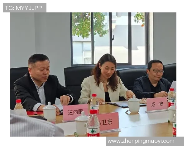 南京乒乓球队技术深度解析与训练方法探讨 南京乒乓球队技术深度解析与训练方法探讨