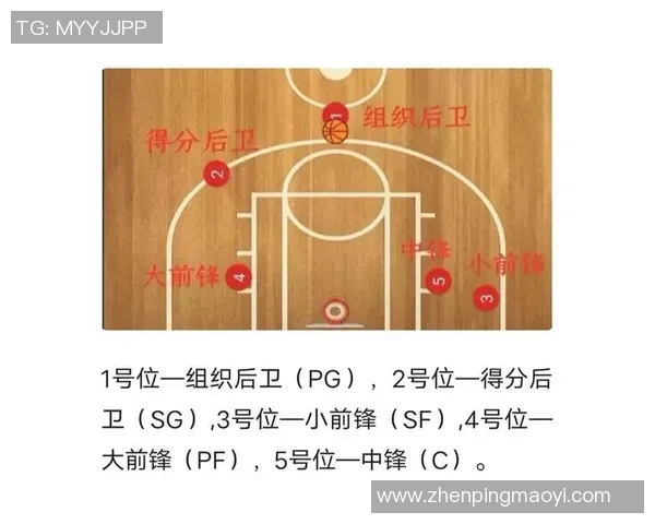 武汉篮球队战术揭秘：从基本功到团队配合的全面分析与探讨