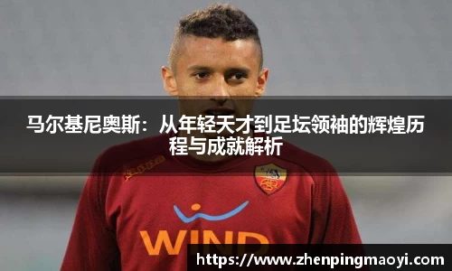 bsports官网入口