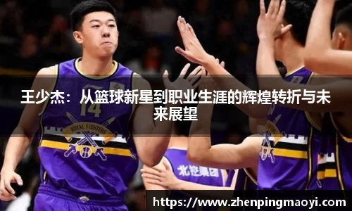 bsports官网入口