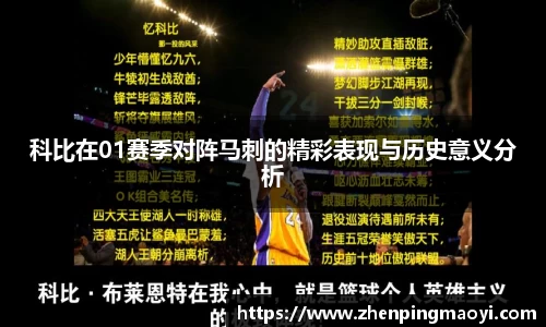 bsports官网入口
