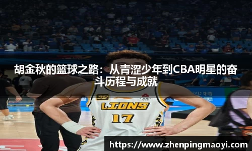 bsports官网入口